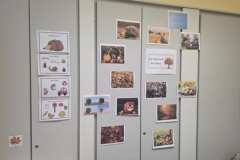 Projektwoche-Herbst-10