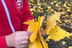 Projektwoche-Herbst-2