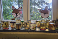 Projektwoche-Herbst-9
