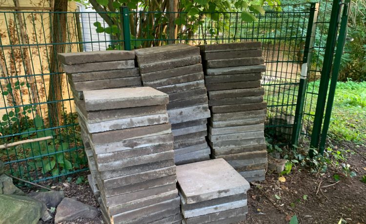 Spende für den Schulgarten