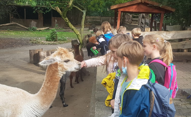 Zoo-Besuch