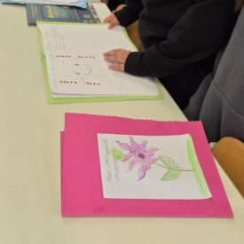 Medien (5)