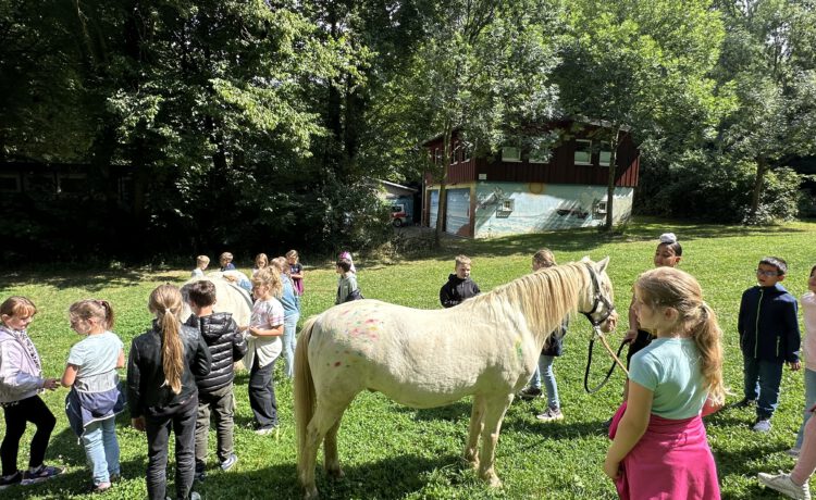 Ponybesuch an der Katharinenschule